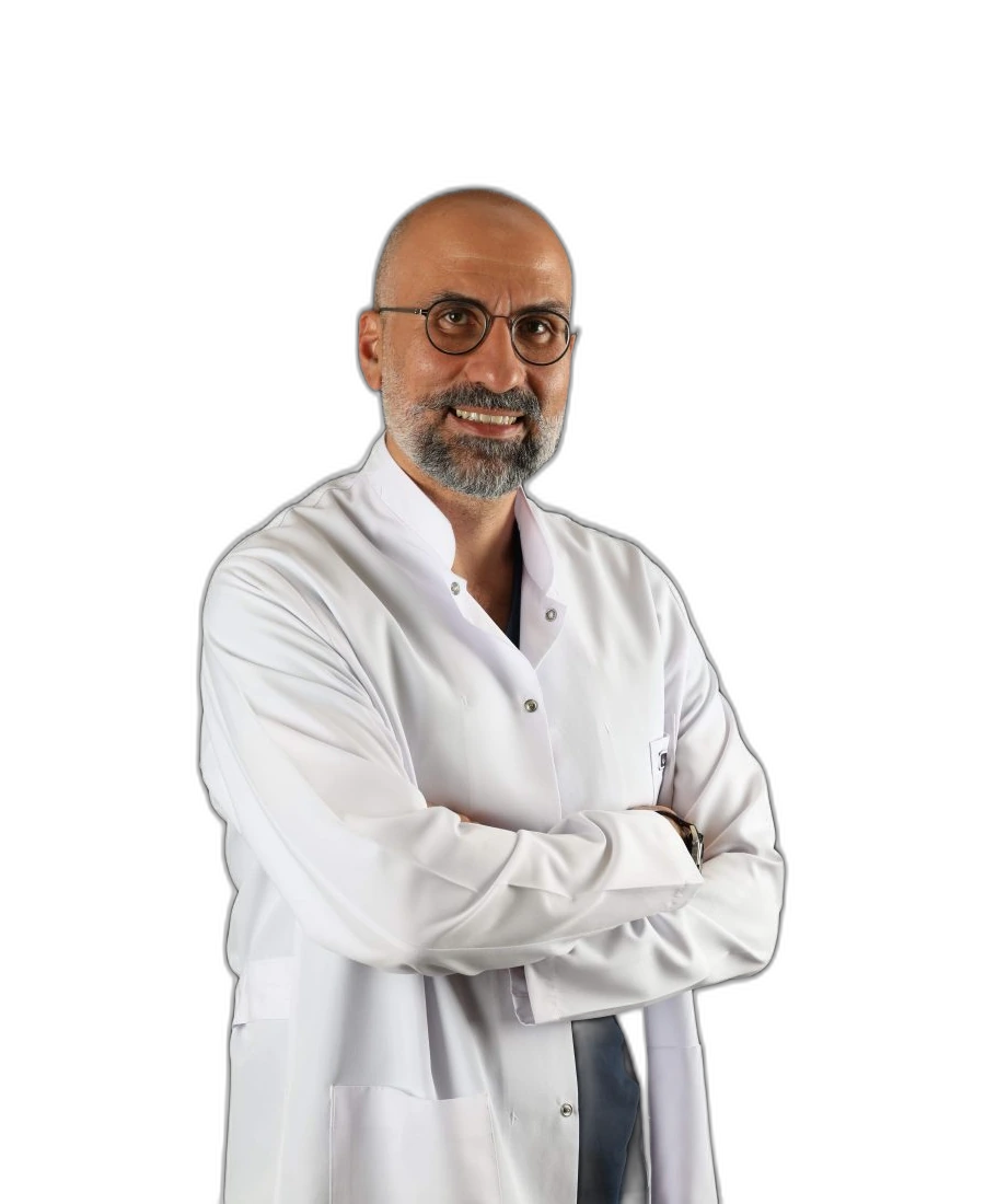 Prof. Dr. Berkan Çelikten